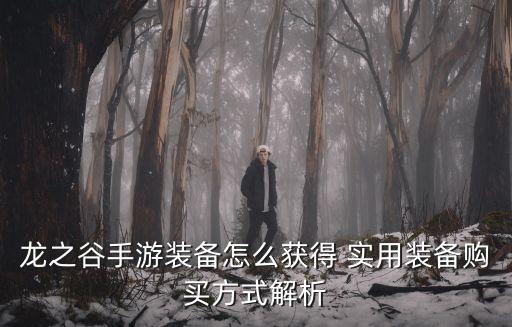 龙之谷手游装备怎么获得 实用装备购买方式解析