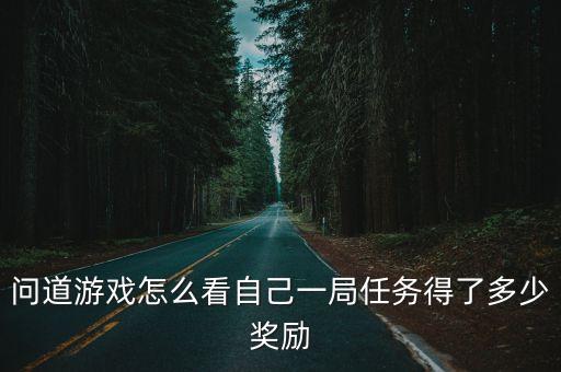 问道游戏怎么看自己一局任务得了多少奖励