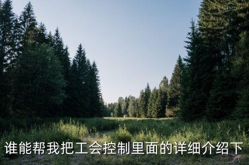 谁能帮我把工会控制里面的详细介绍下