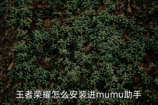 王者荣耀怎么安装进mumu助手