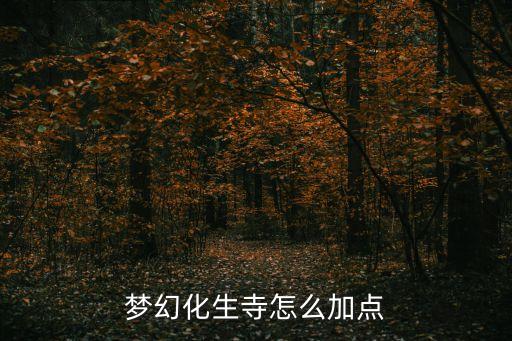 梦幻化生寺怎么加点