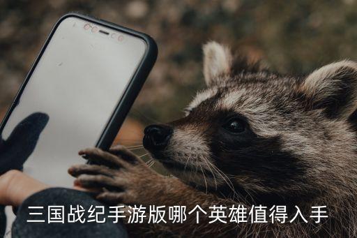 三国战纪手游版牛金怎么样，三国战纪手游什么武将比较厉害