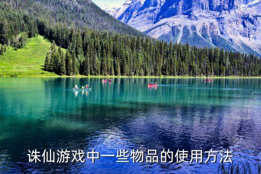 诛仙游戏中一些物品的使用方法