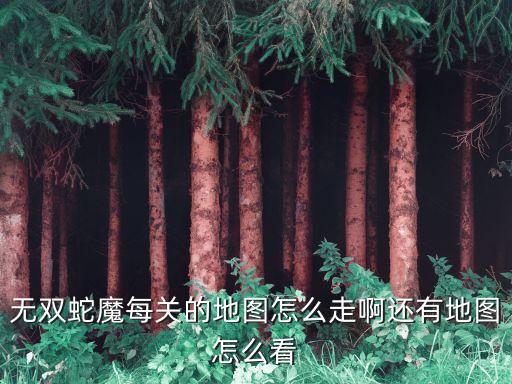 无双蛇魔每关的地图怎么走啊还有地图怎么看