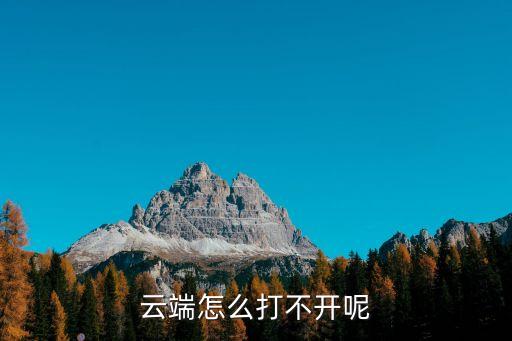 云端怎么打不开呢