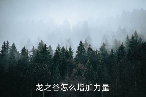 龙之谷怎么增加力量