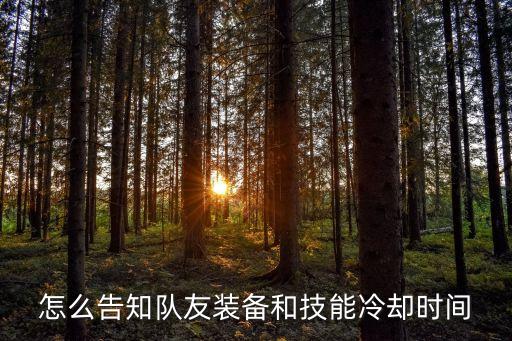怎么告知队友装备和技能冷却时间