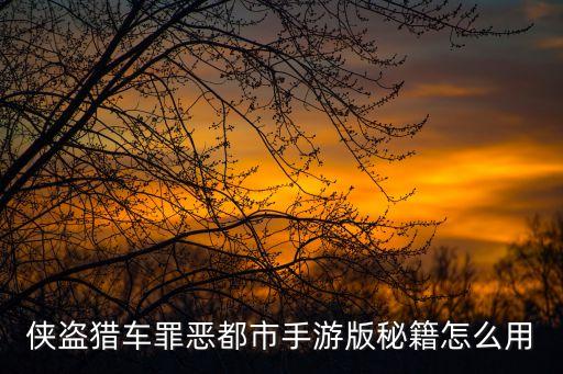 侠盗猎车罪恶都市手游版秘籍怎么用