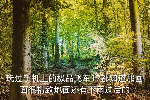 玩过手机上的极品飞车17都知道那画面很精致地面还有下雨过后的