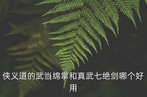 侠义道的武当绵掌和真武七绝剑哪个好用