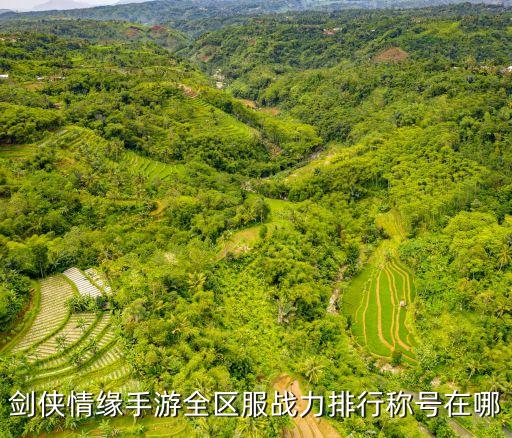 剑侠情缘手游全区服战力排行称号在哪
