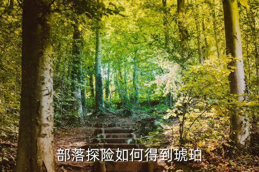 方舟手游里的琥珀怎么获得，部落探险如何得到琥珀