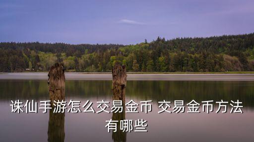 诛仙手游怎么交易金币 交易金币方法有哪些