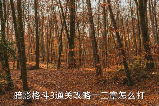暗影格斗3通关攻略一二章怎么打
