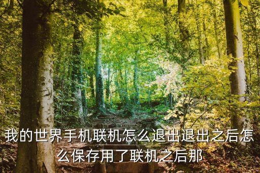 我的世界手机联机怎么退出退出之后怎么保存用了联机之后那
