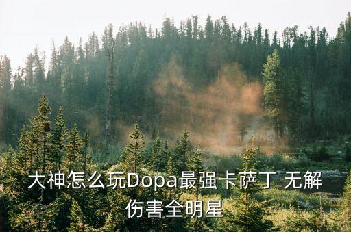 大神怎么玩Dopa最强卡萨丁 无解伤害全明星