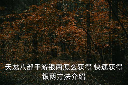 天龙八部手游银两怎么获得 快速获得银两方法介绍
