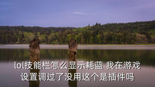 lol技能栏怎么显示耗蓝 我在游戏设置调过了没用这个是插件吗