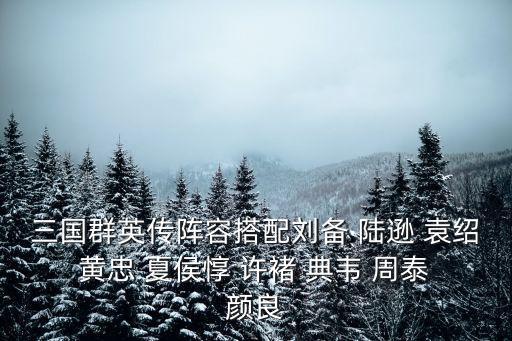 三国群英传阵容搭配刘备 陆逊 袁绍 黄忠 夏侯惇 许褚 典韦 周泰 颜良