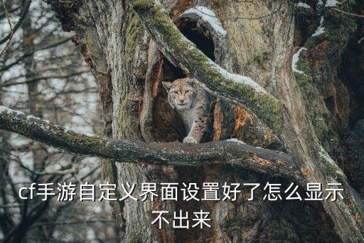 cf手游竞猜怎么不出结果，cf手游自定义界面设置好了怎么显示不出来