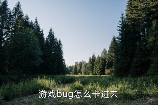 游戏bug怎么卡进去