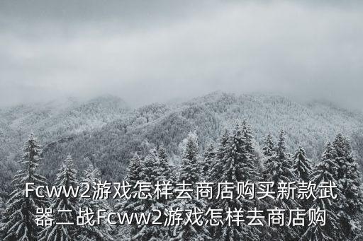 Fcww2游戏怎样去商店购买新款武器二战Fcww2游戏怎样去商店购