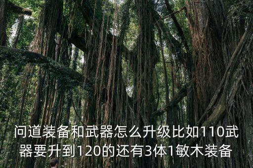 问道手游百级武器怎么升级，问道装备和武器怎么升级比如110武器要升到120的还有3体1敏木装备