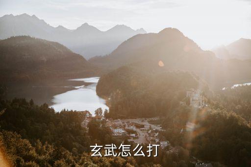 玄武怎么打