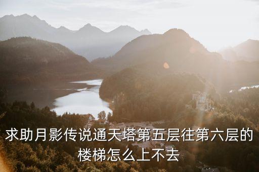 奥拉星手游通天古塔第五层怎么打，战士怎么过轩辕传奇通天楼 第五层