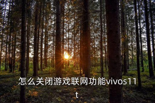 怎么关闭游戏联网功能vivos11t