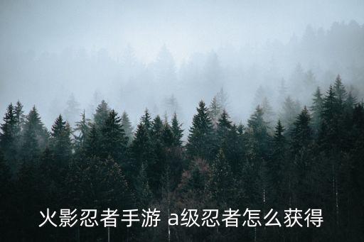 火影忍者手游 a级忍者怎么获得