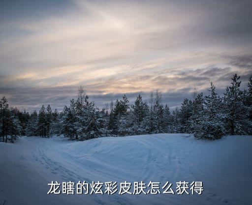 龙瞎的炫彩皮肤怎么获得