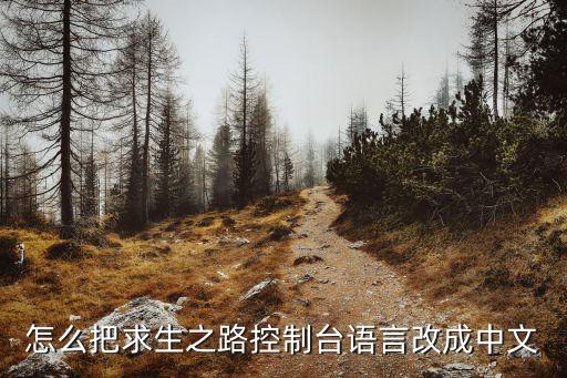 求生之路手游版怎么调中文，怎么把求生之路控制台语言改成中文