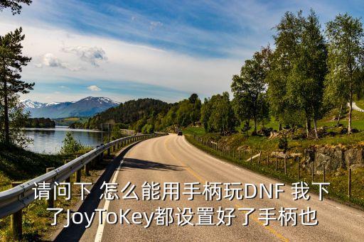 请问下 怎么能用手柄玩DNF 我下了JoyToKey都设置好了手柄也