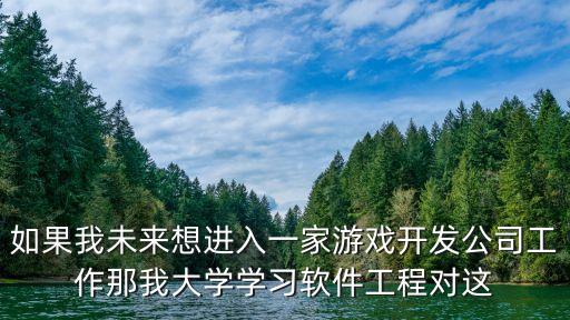 如果我未来想进入一家游戏开发公司工作那我大学学习软件工程对这