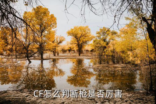 CF怎么判断枪是否厉害