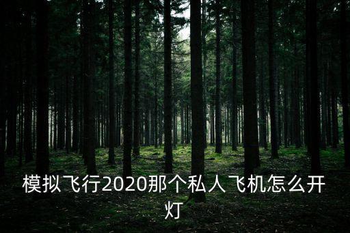 模拟飞行手游怎么开灯呀，模拟飞行10默认机738怎么开全部灯光