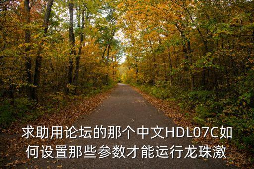 龙珠激斗手游怎么设置中文，游戏questerium怎么调成中文