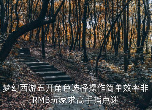 梦幻西游五开角色选择操作简单效率非RMB玩家求高手指点迷