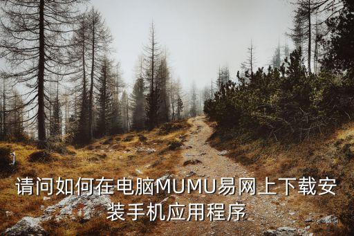请问如何在电脑MUMU易网上下载安装手机应用程序
