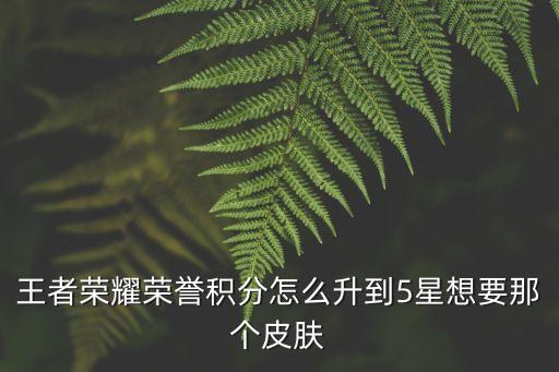 王者荣耀荣誉积分怎么升到5星想要那个皮肤