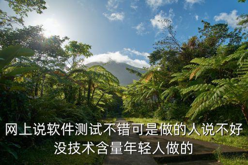 网上说软件测试不错可是做的人说不好没技术含量年轻人做的