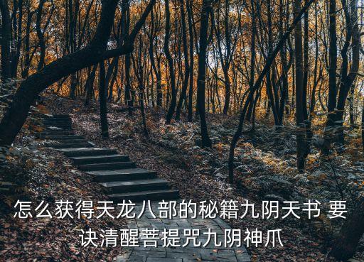 怎么获得天龙八部的秘籍九阴天书 要诀清醒菩提咒九阴神爪