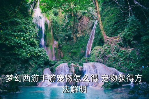 梦幻西游手游宠物怎么得 宠物获得方法解明