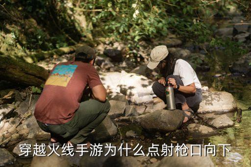穿越火线手游为什么点射枪口向下