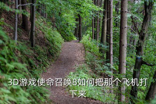 3D游戏使命召唤8如何把那个飞机打下来