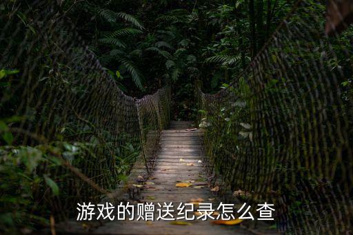 游戏的赠送纪录怎么查