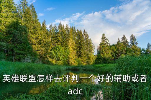 英雄联盟怎样去评判一个好的辅助或者adc