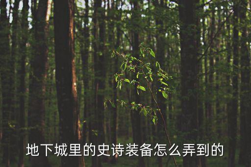 地下城里的史诗装备怎么弄到的