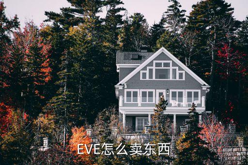 eve星战前夜手游怎么出售装备，eve 打来的装备可以往哪里卖